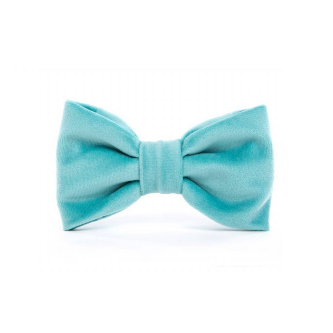 Fluffy Dog Collar Bow Tie -Classic Robin's Egg