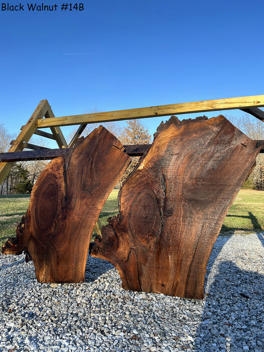 Black Walnut #6 – Meyer's Mill