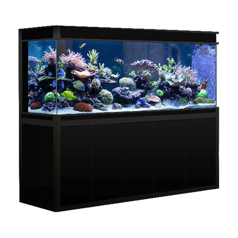 Image of Aqua Dream USA Aquarium Black and Gold Aqua Dream 360 Gallon Large Tempered Glass Aquarium Fish Tank [AD-2310] Image of Aqua Dream USA Aquarium Red Aqua Dream 360 Gallon Large Tempered Glass Aquarium Fish Tank [AD-2310] Image of Aqua Dream USA Aquarium All Black Aqua Dream 360 Gallon Large Tempered Glass Aquarium Fish Tank [AD-2310] Image of Aqua Dream USA Aquarium Aqua Dream 360 Gallon Large Tempered Glass Aquarium Fish Tank [AD-2310] Image of Aqua Dream USA Aquarium Aqua Dream 360 Gallon Large Tempered Glass Aquarium Fish Tank [AD-2310] Image of Aqua Dream USA Aquarium Aqua Dream 360 Gallon Large Tempered Glass Aquarium Fish Tank [AD-2310] Image of Aqua Dream USA Aquarium Aqua Dream 360 Gallon Large Tempered Glass Aquarium Fish Tank [AD-2310] Image of Aqua Dream USA Aquarium Aqua Dream 360 Gallon Large Tempered Glass Aquarium Fish Tank [AD-2310] Image of Aqua Dream USA Aquarium Aqua Dream 360 Gallon Large Tempered Glass Aquarium Fish Tank [AD-2310] Image of Aqua Dream USA Aquarium Aqua Dream 360 Gallon Large Tempered Glass Aquarium Fish Tank [AD-2310] Image of Aqua Dream USA Aquarium Aqua Dream 360 Gallon Large Tempered Glass Aquarium Fish Tank [AD-2310] Image of Aqua Dream USA Aquarium Aqua Dream 360 Gallon Large Tempered Glass Aquarium Fish Tank [AD-2310] Image of Aqua Dream USA Aquarium Aqua Dream 360 Gallon Large Tempered Glass Aquarium Fish Tank [AD-2310] Aqua Dream 360 Gallon Large Tempered Glass Aquarium Fish Tank [AD-2310]