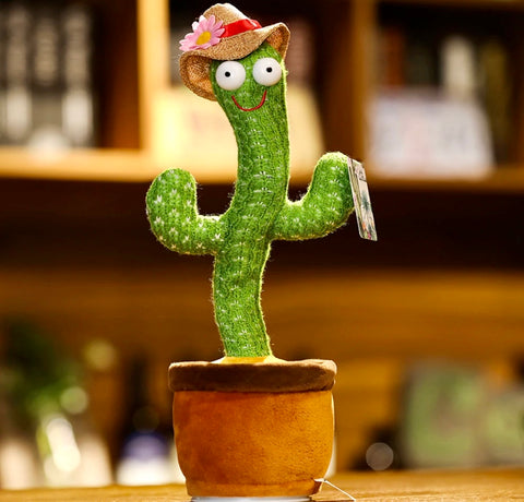 dancing cactus plant