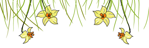 Daffodil illustration motif