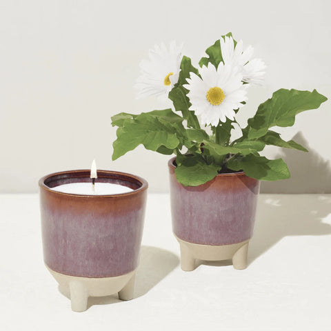 Candle and wildflowers in pots