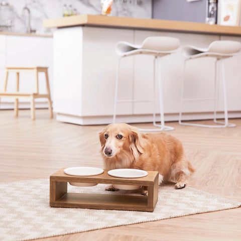 TEAMSON PETS BILLIE SMALL ELEVATED WOOD PET FEEDER WITH CERAMIC BOWLS, BROWN