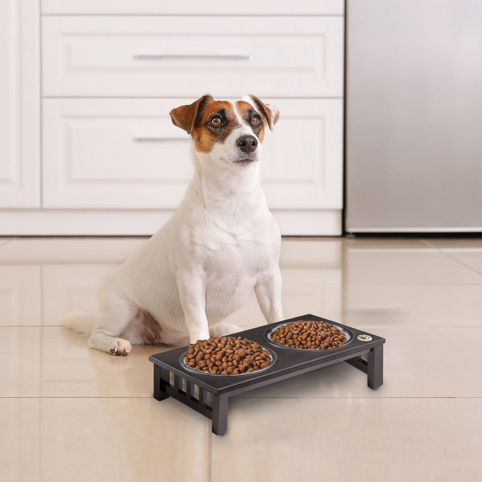 Teamson Pets Billie Elevated Ceramic Double Pet Feeder with Ash Wood Stand Brown