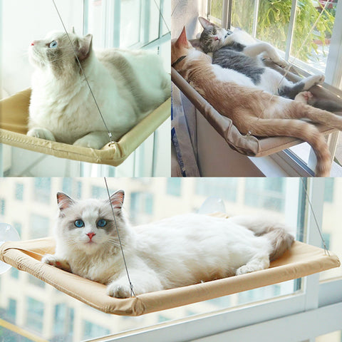 best cat window hammock