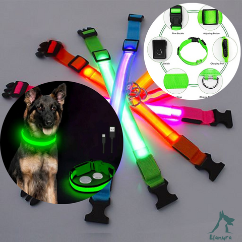 luminous dog collar