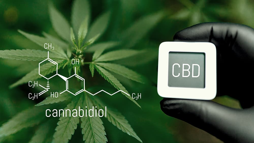 CBD chemical formula