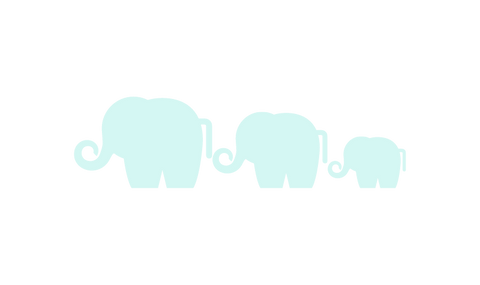 Elephant family holding tails in a line - TWD Website Divider