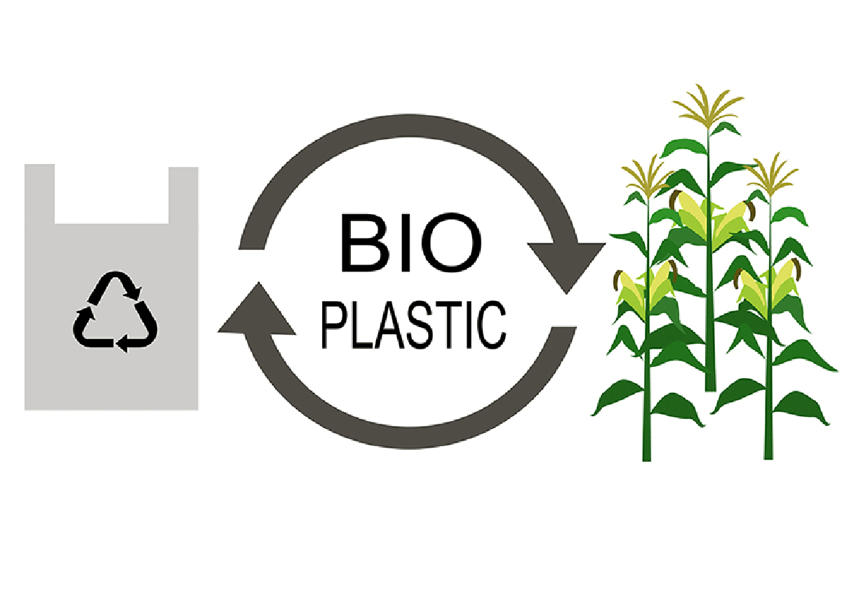 Bio Plastic