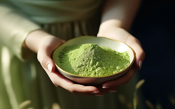 Understanding Green Tea Supplements