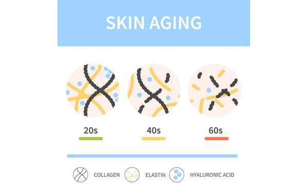 marine collagen skin repair