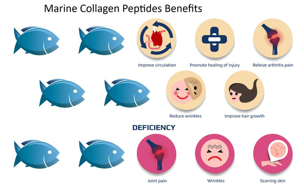 marine collagen helping health