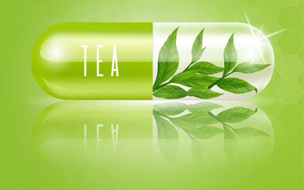 Understanding Green Tea Supplements