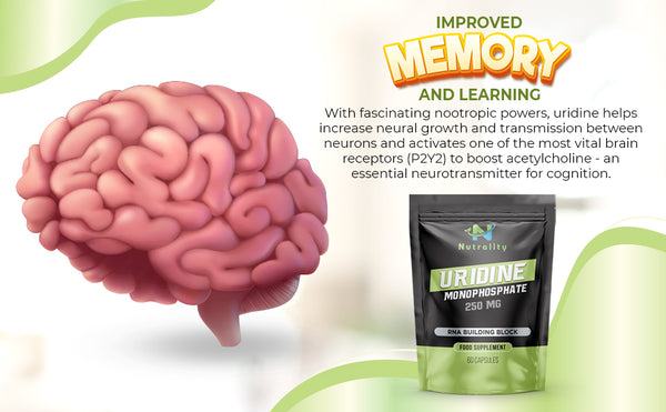 Nutrality Uridine Monophosphate Supplement