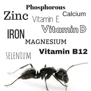 benefits of taking black ant powder