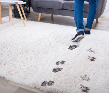 Person tracking mud on white rug