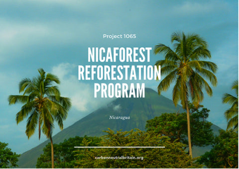 Carbon Neutral Britain Project 1065: Nicaforest Reforestation Program - Nicaragua