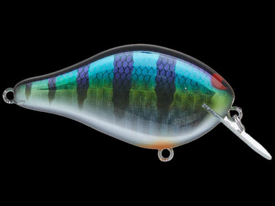 Optimum Baits Thumper Tail Swimbait Butch Brown Saiko Trout 6in for sale  online