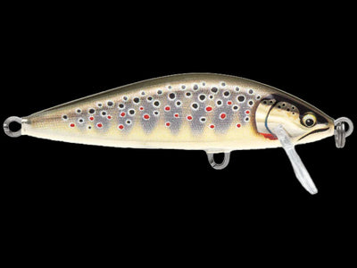 Rapala Crush City Bronco Bug – Anglers Choice Marine Tackle Shop