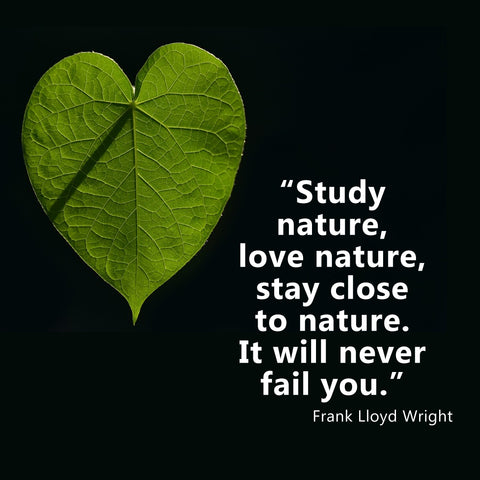 Leaf shaped like a heart with a Frank Lloyd Wright quote about loving nature