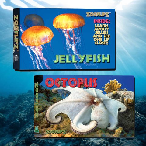Jellyfish Octopus