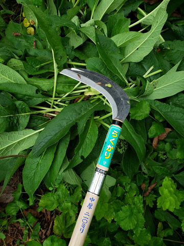 A sickle is a curved-blade cutting tool used for harvesting crops, cutting grass, and clearing vegetation