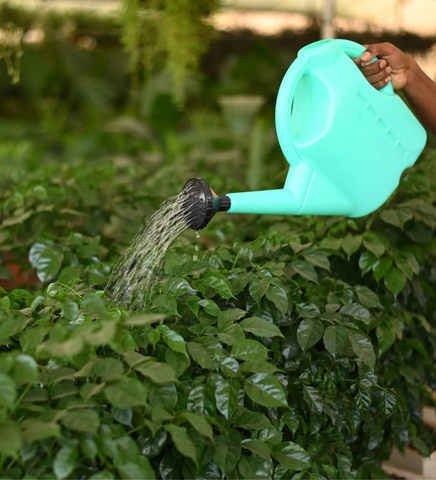 A watering can is a handheld container for watering plants with controlled flow of water for precise irrigation