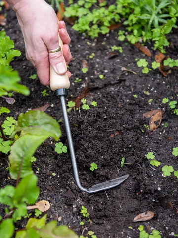 The cape cod weeder is a specialized gardening tool designed for precise and efficient weeding in tight spaces