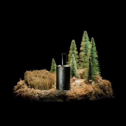 fischersund no. 23 fragrance bottle stood in a crafted icelandic setting of trees and moss