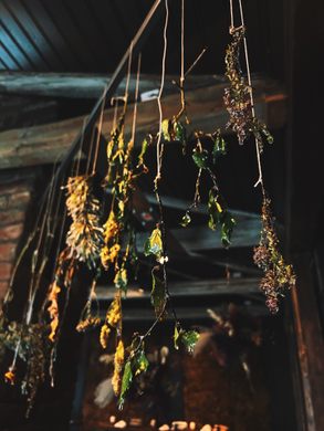 icelandic herbs hanging to dry for fischersund fragrances