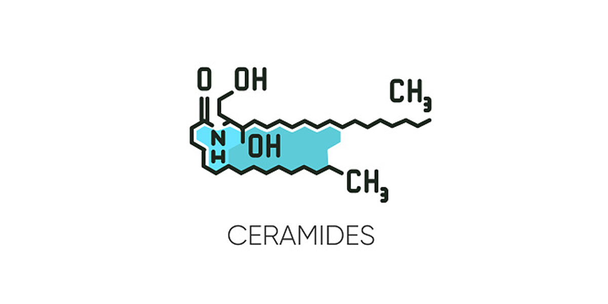 benefits of ceramide moisturizer: ceramide overview