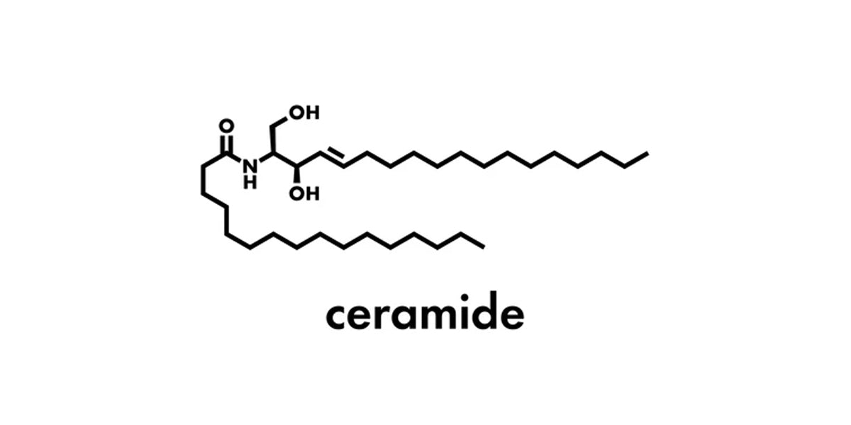 what are ceramides: Ceramide serum- Introduction