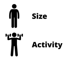 Size and activity