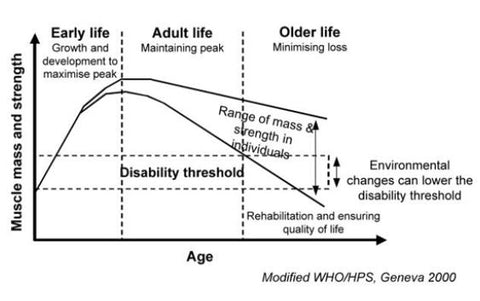 Graph 2 muscle v training