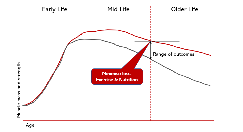 Muscle loss due to aging