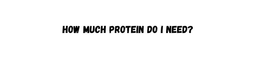 How much protein do I need?