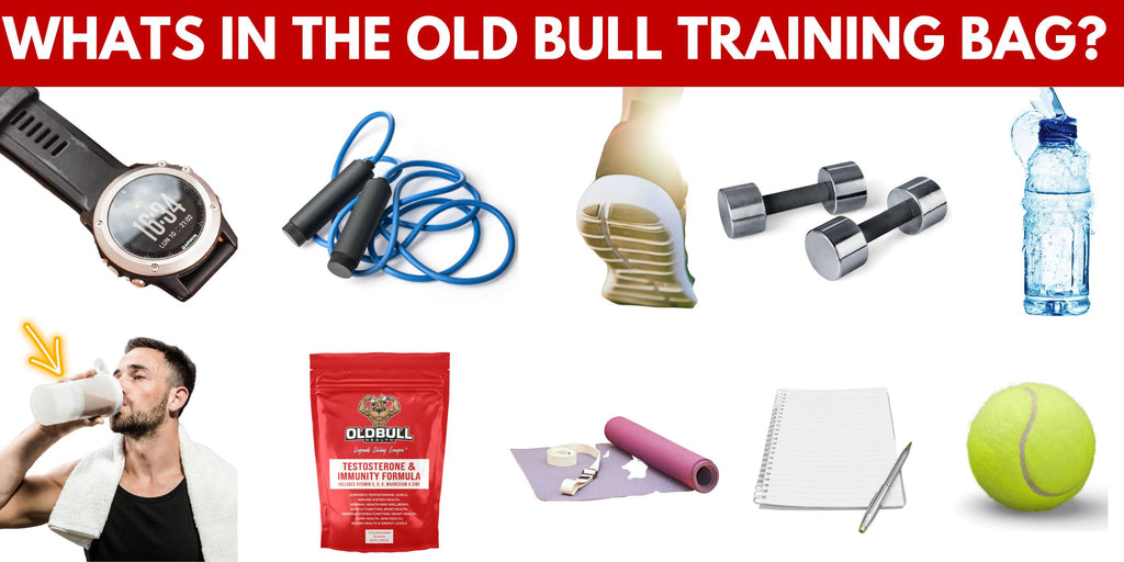 What is in the Old Bull health Training Bag?