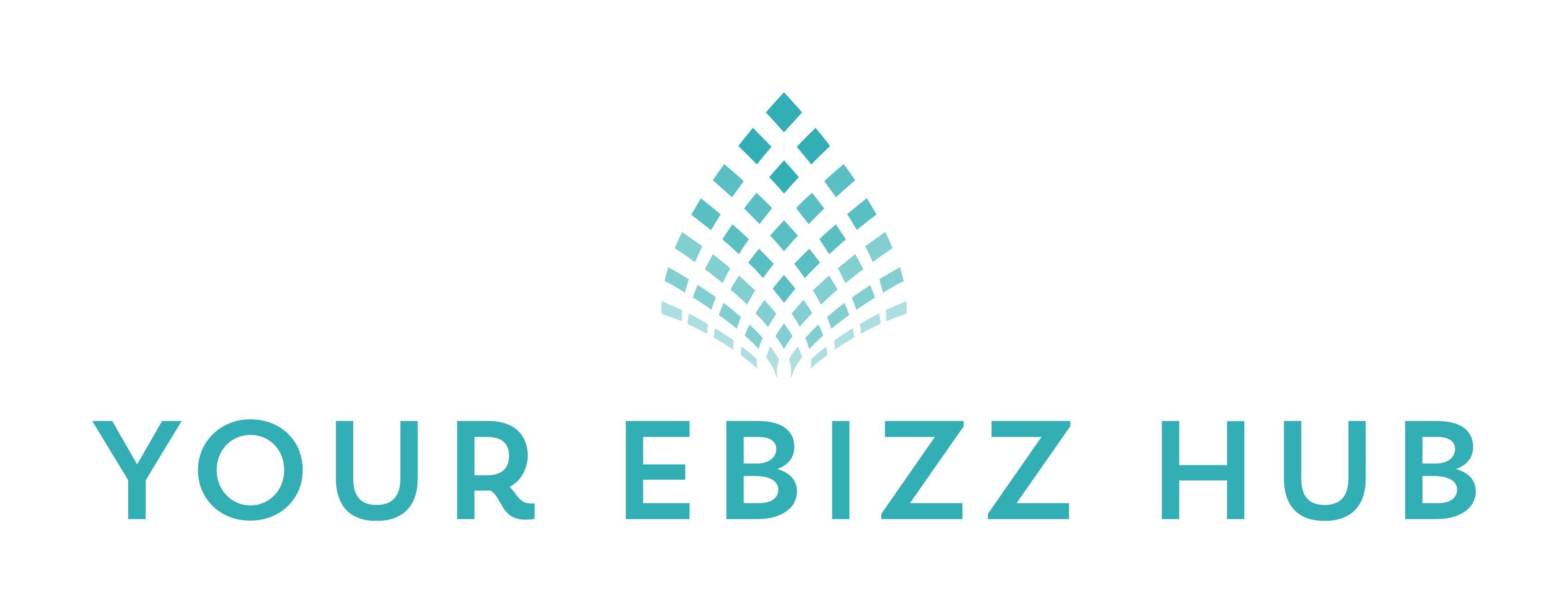 Your Ebizz Hub
