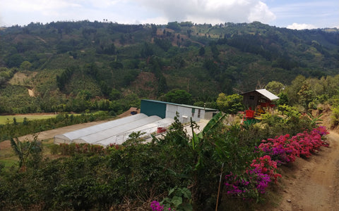 The Wet Mill, Warehouse, and Drying Patios at Aguilera Brothers