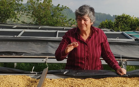 Doña María Elena of Beneficio MonteBrisas discussing her method of drying coffee
