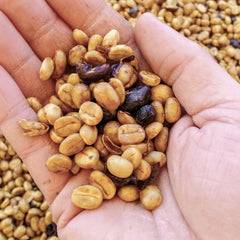 Honey Coffee Drying Process