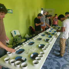 Coffee Cupping Session