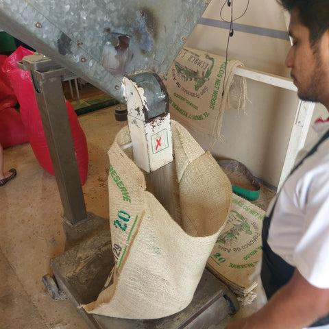 Filling Coffee Bags
