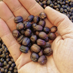 Natural Coffee Drying Process
