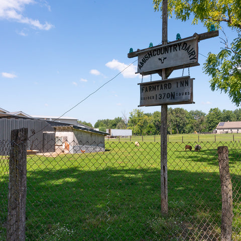 Amish Country Dairy Sign