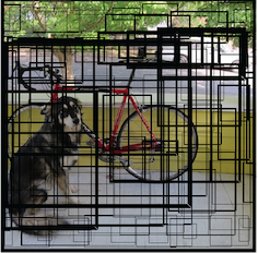 a photograph of a dog and a bicycle, with proposed object boxes from the YOLO algorithm displayed on top, where the thickness of the box corresponds to how likely an object is to be in that box