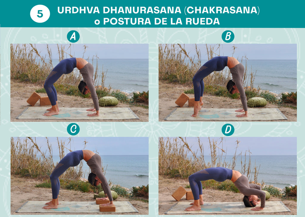 Cómo Hacer la Postura de la Rueda o Urdhva Dhanurasana en Yoga