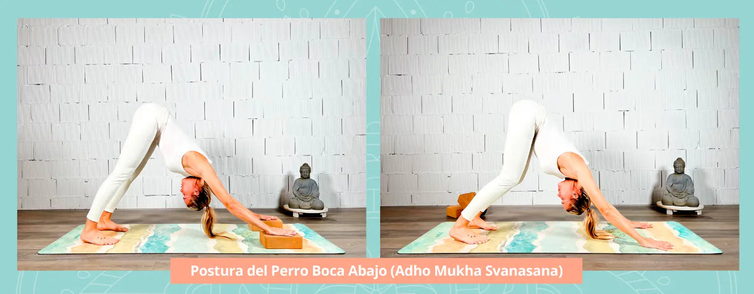  Postura del Perro Boca Abajo (Adho Mukha Svanasana)