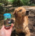 Schilling Cider Dog Portland Pup Passport