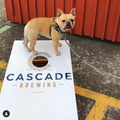 Cascade Brewing Portland Dog